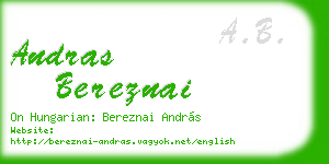 andras bereznai business card